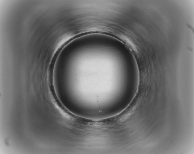 X0000096460991200801241403