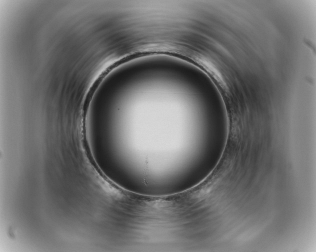 X0000096460992200801241403