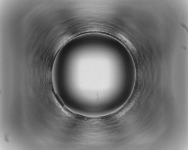 X0000096460993200801241403