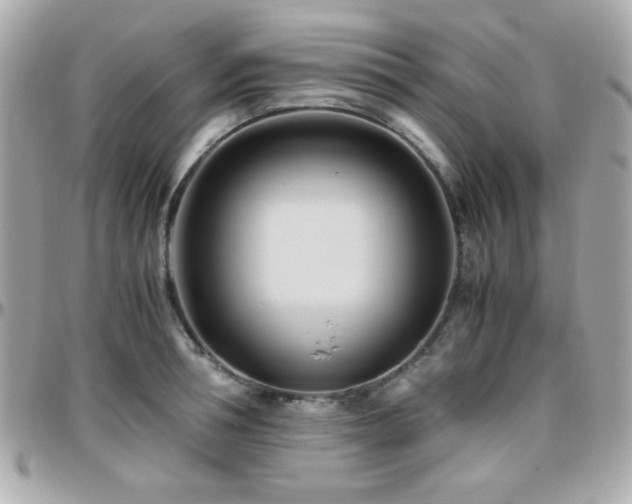 X0000096460994200801241403