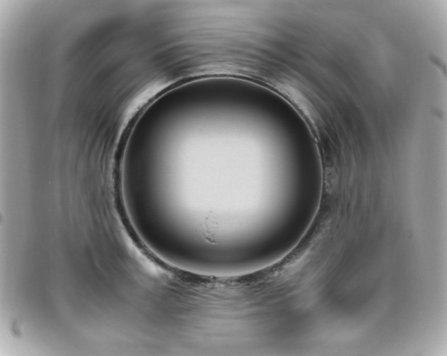 X0000096460995200801241403
