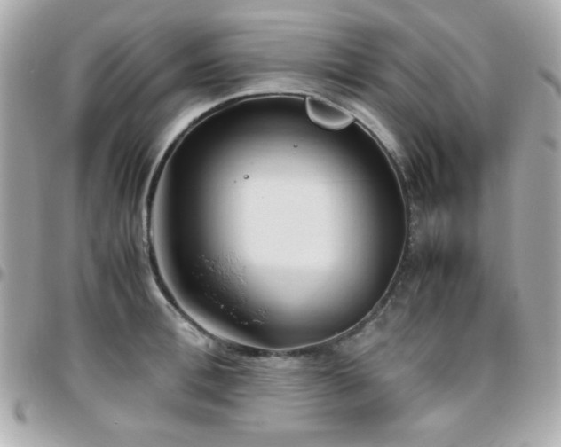 X0000096460996200801241403