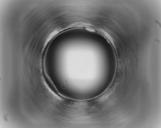 X0000096460997200801241403