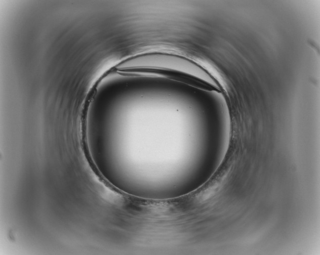 X0000096460999200801241403
