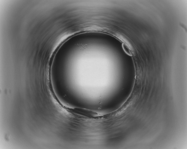 X0000096461000200801241403