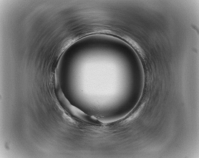 X0000096461001200801241403