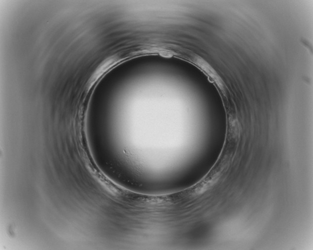 X0000096461002200801241403