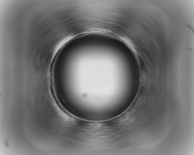 X0000096461003200801241403