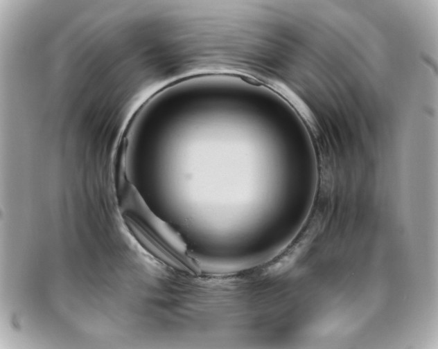 X0000096461004200801241403