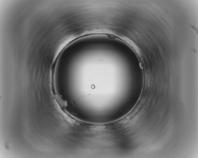 X0000096461006200801241403