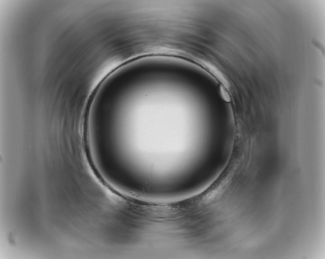 X0000096461007200801241403