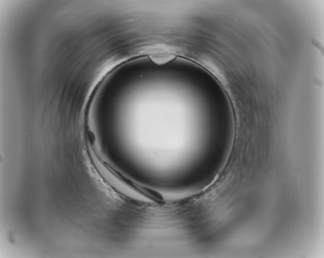 X0000096461008200801241403