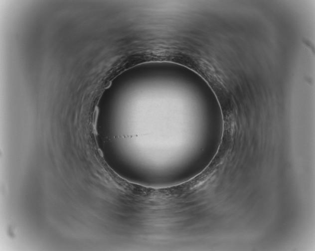 X0000096461009200801241402