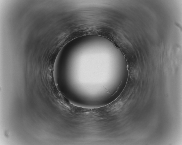 X0000096461010200801241402