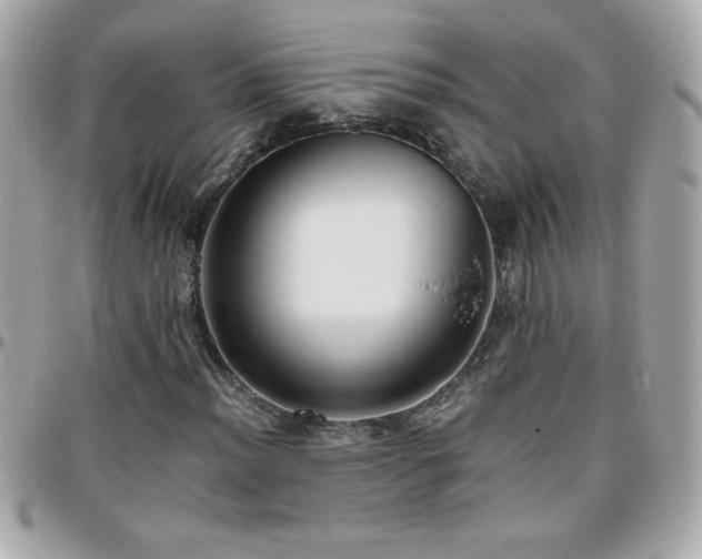 X0000096461012200801241402