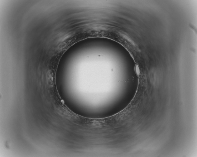 X0000096461013200801241402
