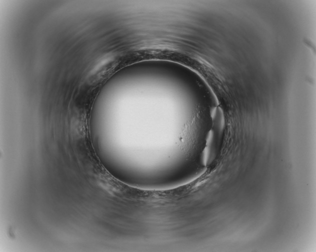 X0000096461014200801241402