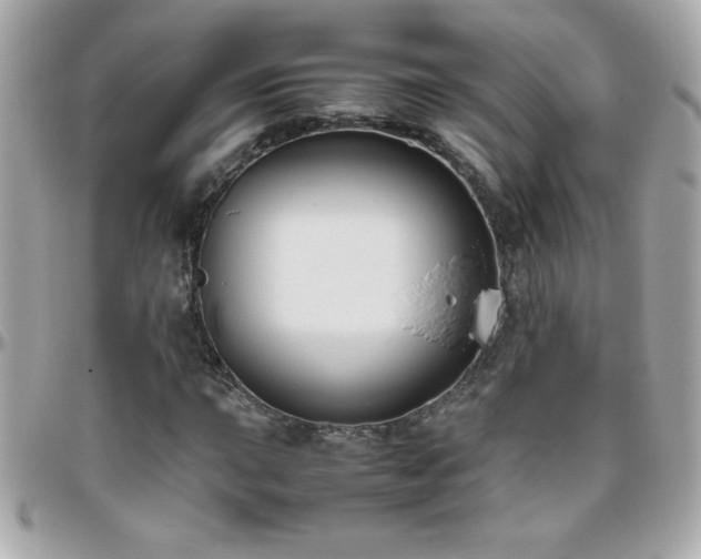 X0000096461015200801241402