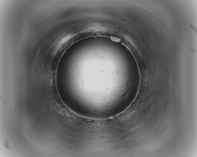 X0000096461016200801241402