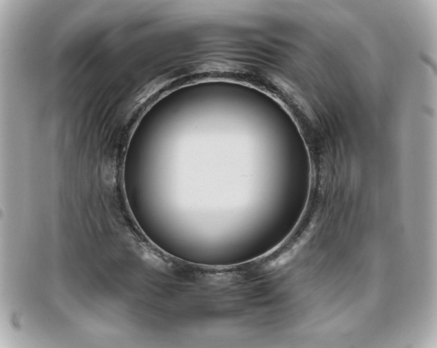 X0000096461017200801241402