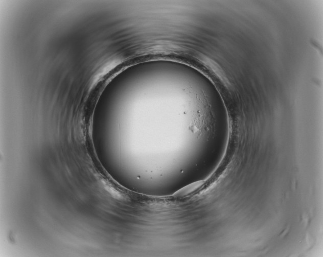 X0000096461018200801241402