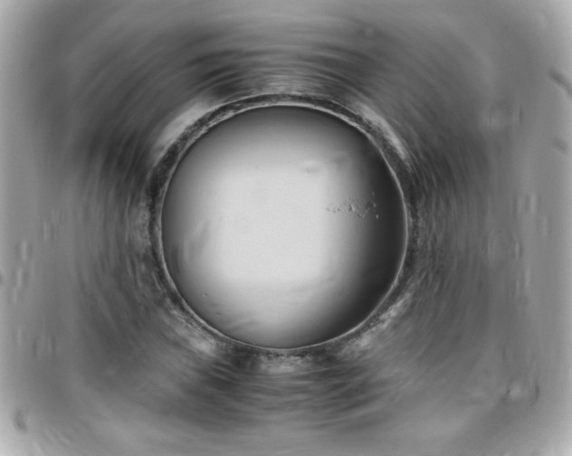 X0000096461019200801241402
