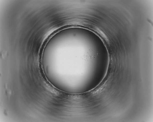 X0000096461020200801241402
