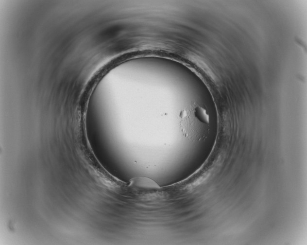 X0000096461021200801241402