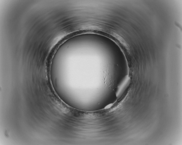 X0000096461022200801241402