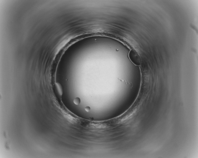X0000096461023200801241402