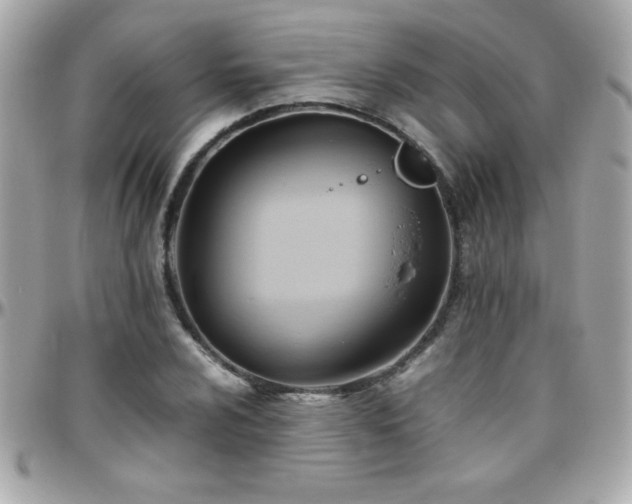 X0000096461024200801241402