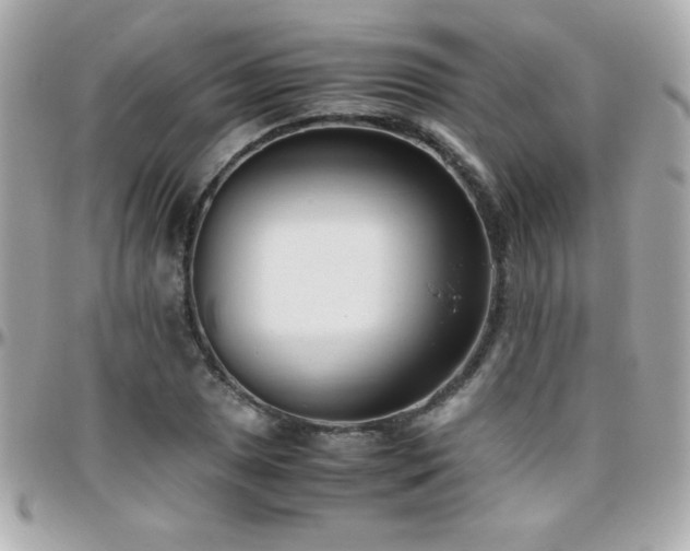 X0000096461025200801241402