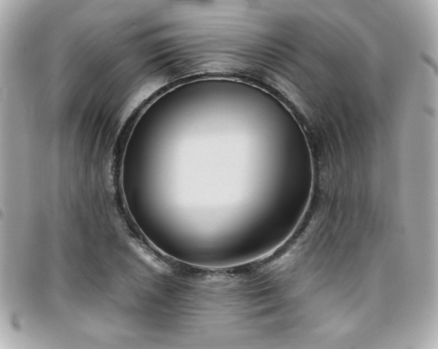 X0000096461026200801241402