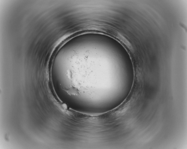 X0000096461028200801241402