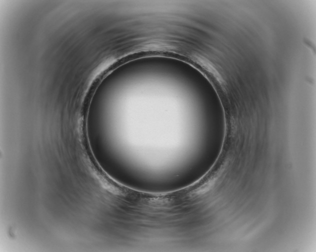 X0000096461029200801241402