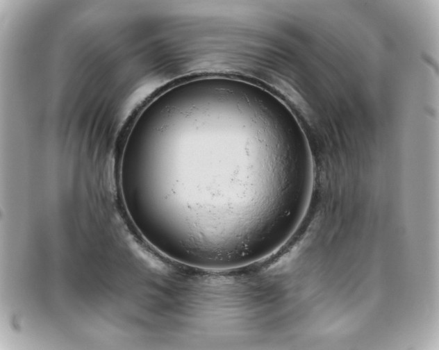X0000096461030200801241402