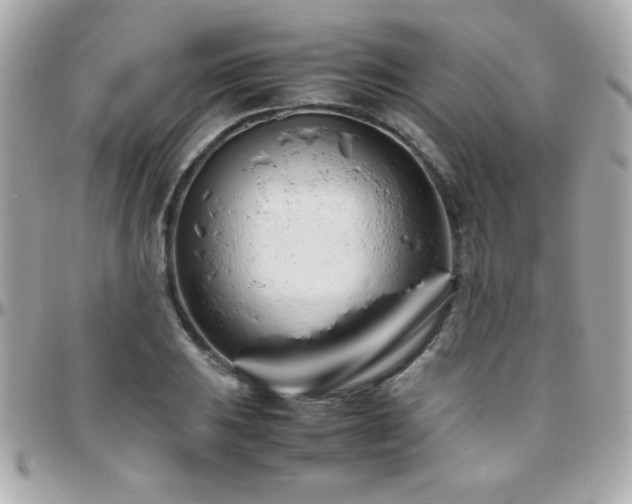 X0000096461031200801241402