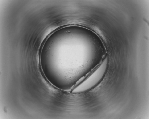 X0000096461032200801241402
