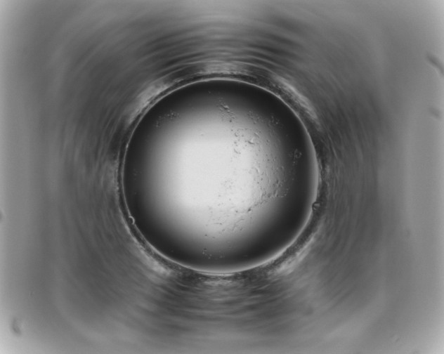 X0000096461033200801241402