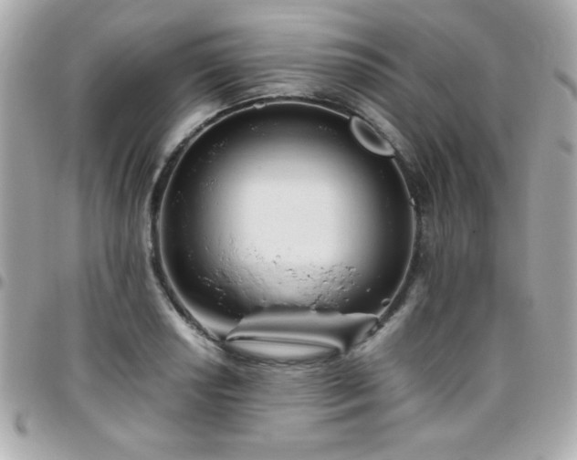 X0000096461034200801241402