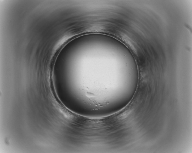 X0000096461035200801241402