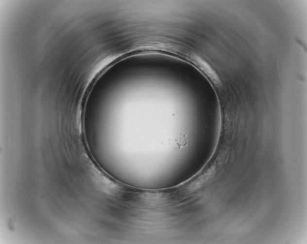 X0000096461036200801241402