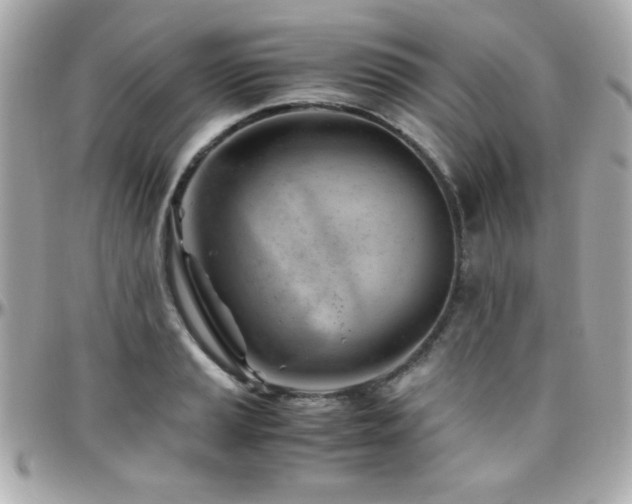 X0000096461037200801241402