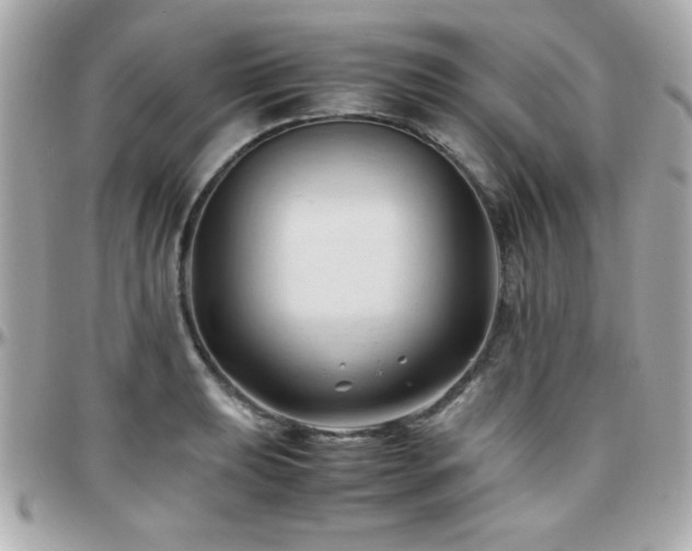X0000096461039200801241402