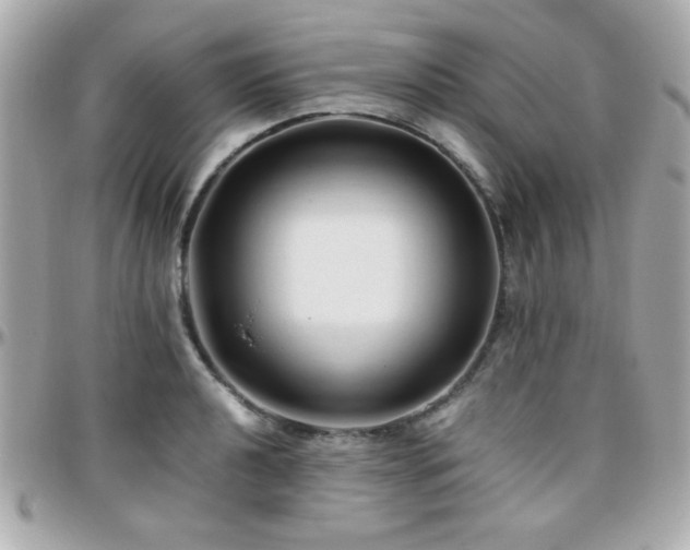 X0000096461040200801241402