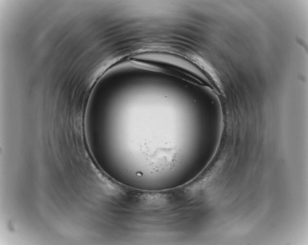 X0000096461041200801241402