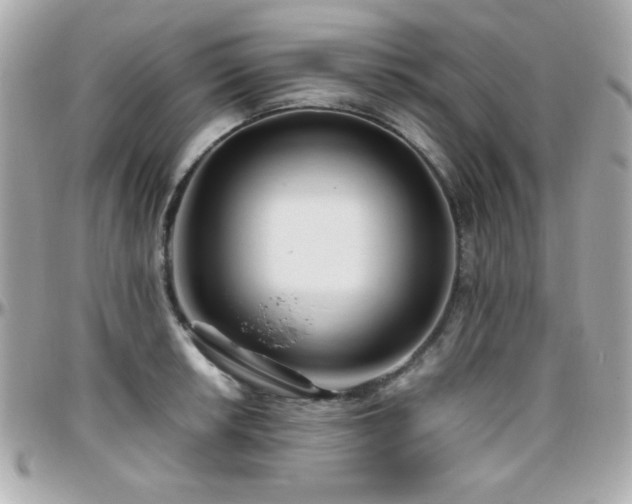 X0000096461042200801241402