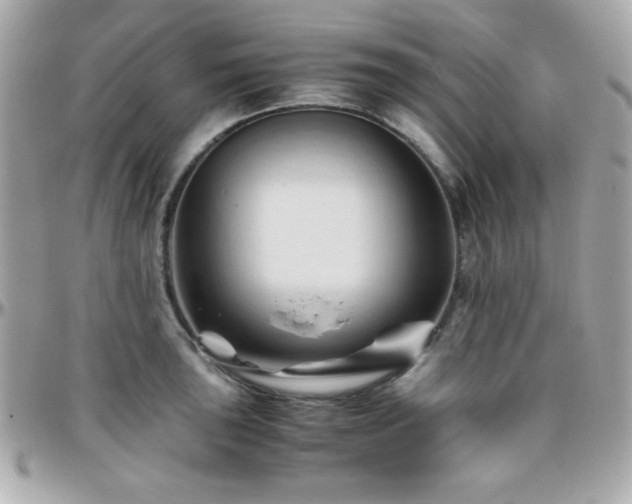 X0000096461043200801241402