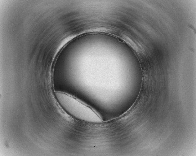 X0000096461044200801241402