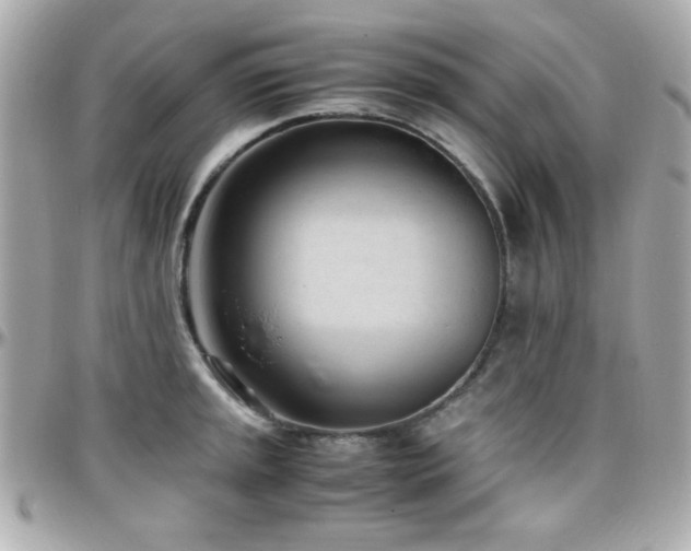 X0000096461045200801241402